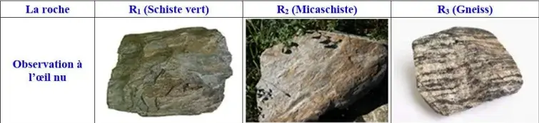 Le métamorphisme et sa relation avec la tectonique des plaques